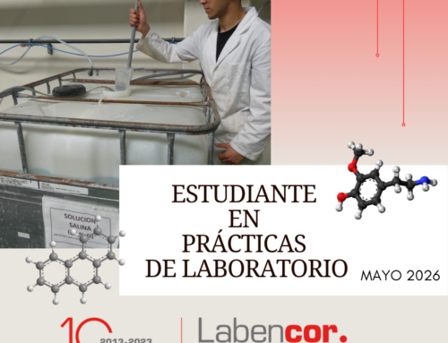 ESTUDIANTE 2º AÑO EN PRÁCTICAS LABORATORIO